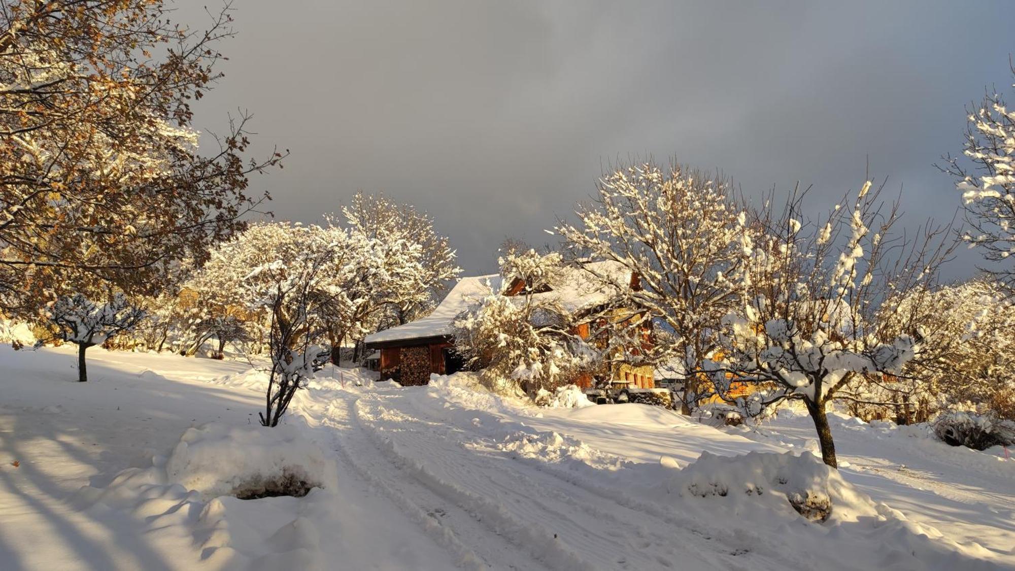 Chalet Mounette Ski Sauna Lac Embrun Puy-Sanieres Exterior foto